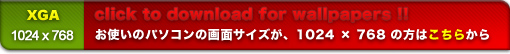 PC1024  768 XGA